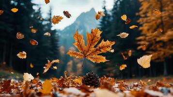 Autumnal Scene Falling Maple Leaves and Pine Cone on Ground with Forest Background photo