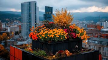 Vibrant Autumn Flowers in Rooftop Planter Box Cityscape Background photo
