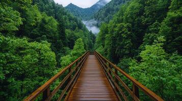 Serene Wooden Walkway Bridge Through Lush Green Forest Nature Trail Scenic View photo