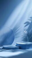 Blue Cylindrical Display Platforms with Palm Frond and Shadows photo