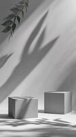 Two Grey Cubes and Leaf Shadow on White Background photo