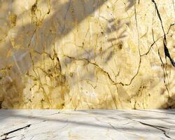 Gold and Beige Marble Wall and Floor with Leaf Shadows photo