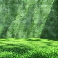 Green Wall and Grass with Tree Shadows photo