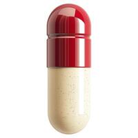 A large, stylized red and cream capsule, featuring a glossy finish and smooth surface, set against a plain background. photo