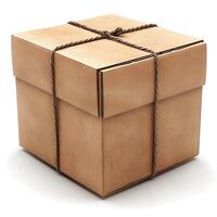 A neatly wrapped brown cardboard box tied with string, symbolizing shipment or gift-giving. photo
