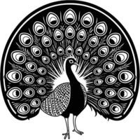 A sketch of a peacock. illustration convert to. black outline on transparent background vector