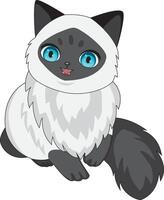 Siamese cat with a smiling face vector