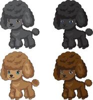 Cute Poodle Dog With Four Colors vector