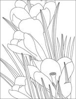 Coloring Page Lilies Leave Page Coloring Flower vector