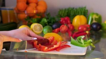 The chef sprinkles stuffed yellow and red peppers, paprika, and stuffed yellow peppers with grated cheese. Vegetables, vegetarian food, rich in vitamins, healthy eating concept. Macro video