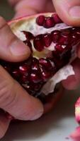 Pomegranate Split Open by Hands Revealing Red Seeds in Rural Market Stall Village Harvest Display video