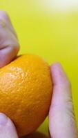 Hands peeling mandarin resting on soft textured clothing. Fingers separating citrus fruit sections against warp fabric. Palms holding orange pieces placed on cozy surface video