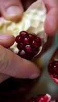 Close-up of hands peeling and removing seeds from a fresh pomegranate, showcasing vibrant red seeds and natural textures, perfect for food and health-related content. video