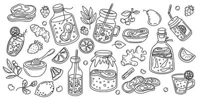 Monochrome outline of kombucha drinks, fruits, spices, and jars. A detailed sketch-style perfect for design projects and coloring pages. vector