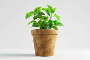 A lush green plant in a rustic brown pot, adding a touch of nature to a minimalist setting. photo