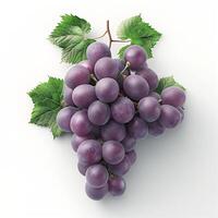 Fresh and juicy purple grapes with lush green leaves against a clean white background. photo
