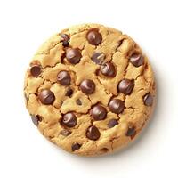 Delicious round chocolate chip cookie, golden brown and fresh from the oven. photo