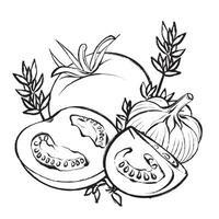 Black and white drawing of whole and sliced tomatoes with garlic and aromatic herbs. Suitable for packaging, menus, restaurant branding, and culinary projects. vector