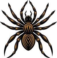 a spider with brown and black stripes on its body vector