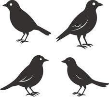 four black birds on a white background vector