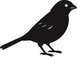 a black bird is standing on a white background vector