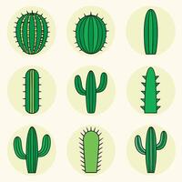 cactus plants in different shapes and sizes vector