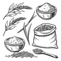rice grains and grains in a bowl, a spoon and a bag vector