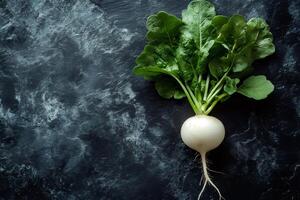 Fresh white radish with lush green leaves lying on a dark textured surface photo