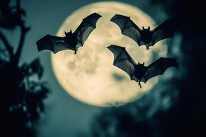 Bats flying in front of full moon at night photo