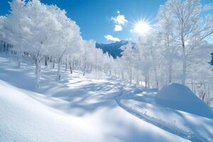 Sun shining over snowy trees and ski tracks in a winter forest landscape photo