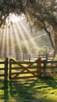 A gate in a pasture photo