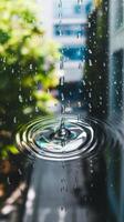 Raindrops on the window photo