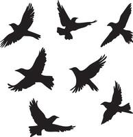 Silhouettes of birds set flying vector