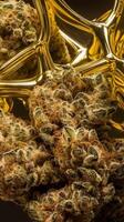Strong extract of gold cannabis wax with high thc close up bubble shatter texture photo
