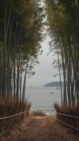 A path leading to the ocean with bamboo trees photo