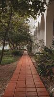 A red brick pathway leads to a building photo