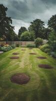 Lawn in the garden with mole hills high quality photo