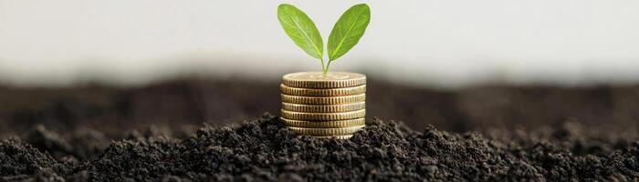 A seedling grows from a stack of coins, symbolizing sustainability and financial growth. photo