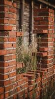 A brick wall with a broken brick in the middle photo