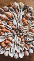 Top view bowl with delicious shells photo