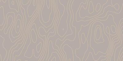 Topographic Map Background. Subtle Contour Line Pattern vector