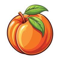an orange peach with leaves on it vector