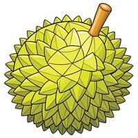 a durian fruit with a wooden stick vector