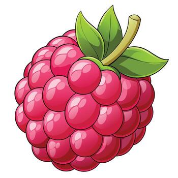 un frambuesa es mostrado con hojas y un vástago vector