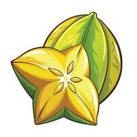 cocoa pod and star fruit illustration vector