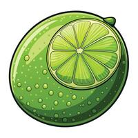 a lime with a slice on it vector