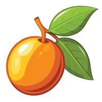 orange with a leaf on it vector