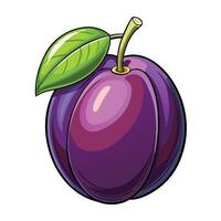 a purple plum fruit with leaf on it white background vector