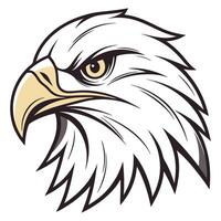 an eagle head with a black beak and white feathers vector