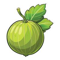a green fruit with leaves on it white background vector